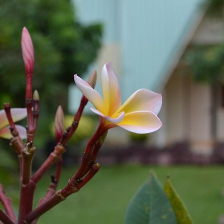 Touch Star Resort - Doi Inthanon Chom Thong Buitenkant foto