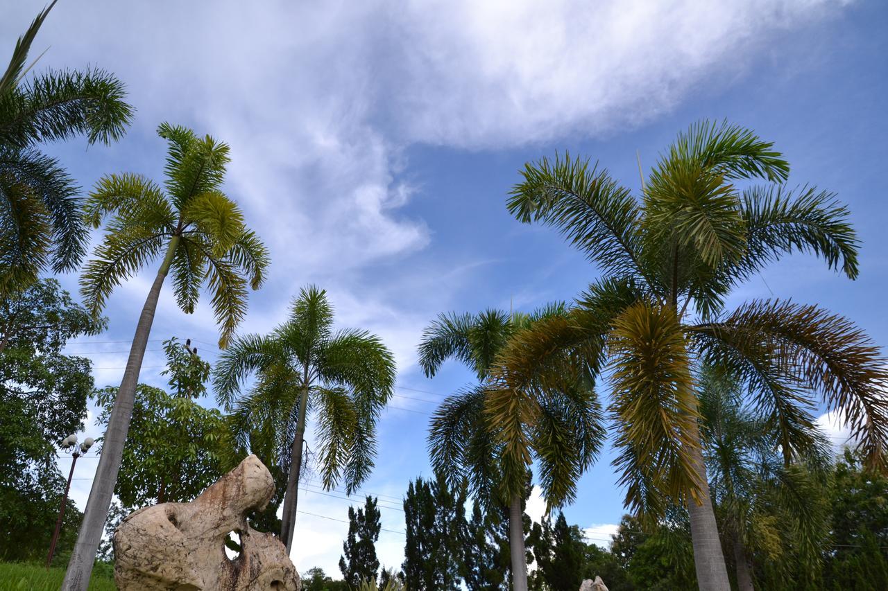 Touch Star Resort - Doi Inthanon Chom Thong Buitenkant foto