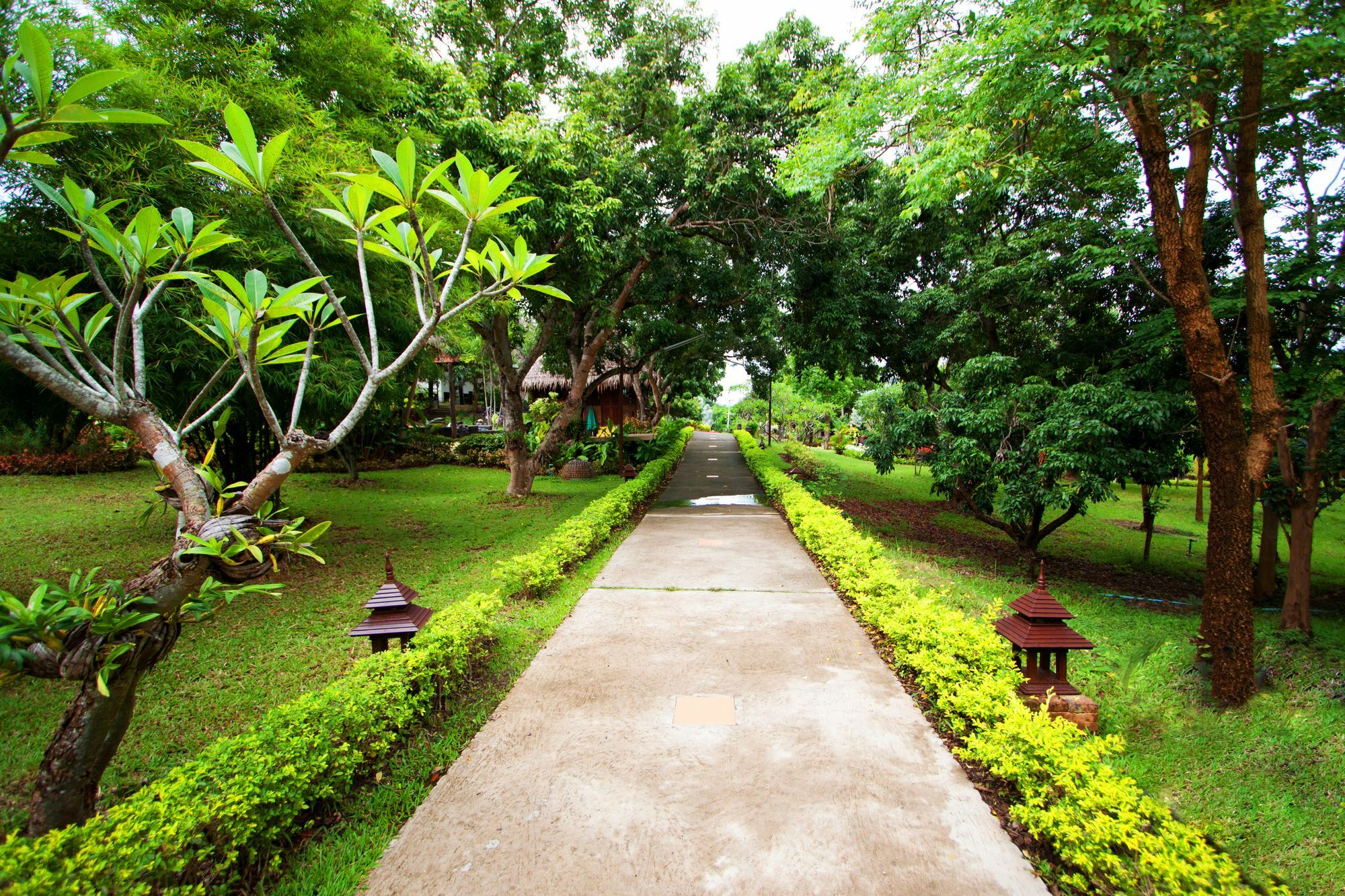 Touch Star Resort - Doi Inthanon Chom Thong Buitenkant foto